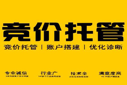 竞价推广SEM托管：打造爆款案例解析